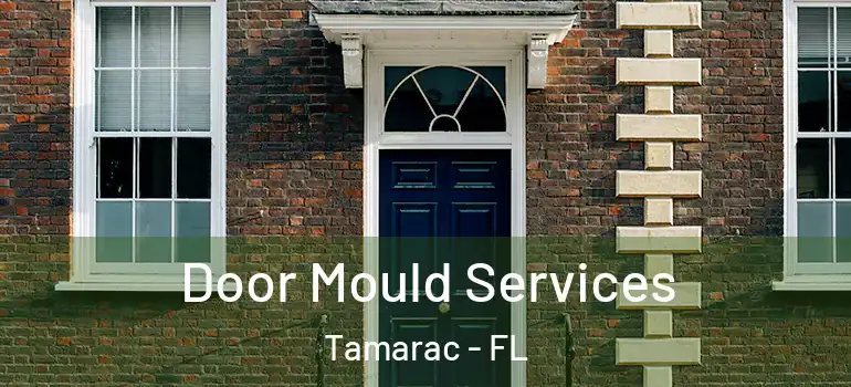  Door Mould Services Tamarac - FL