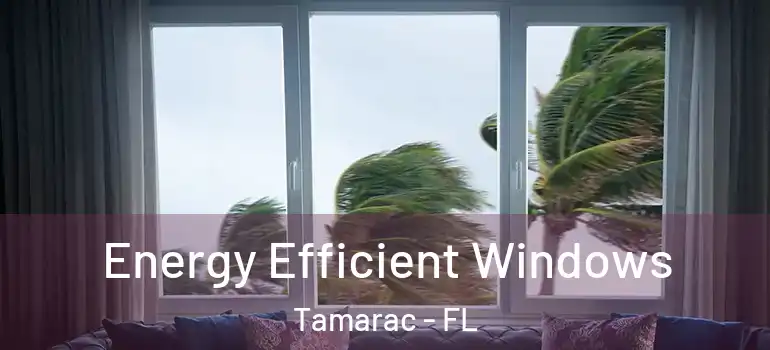 Energy Efficient Windows Tamarac - FL
