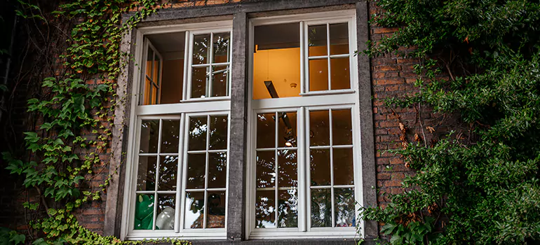 Energy Efficient Wood Windows in Tamarac, FL