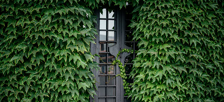 Garden Gate Repair in Tamarac, FL