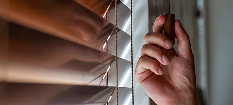 Double Roller Blinds in Tamarac, FL