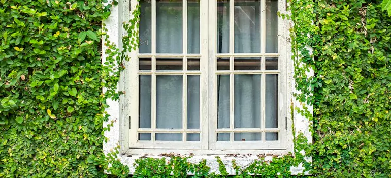 Garden Window Repair Near Me in Tamarac, FL