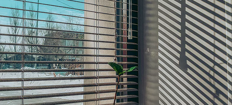Commercial Window Blinds in Tamarac, FL