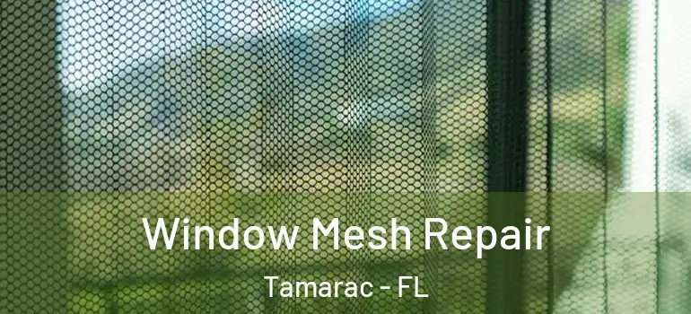  Window Mesh Repair Tamarac - FL