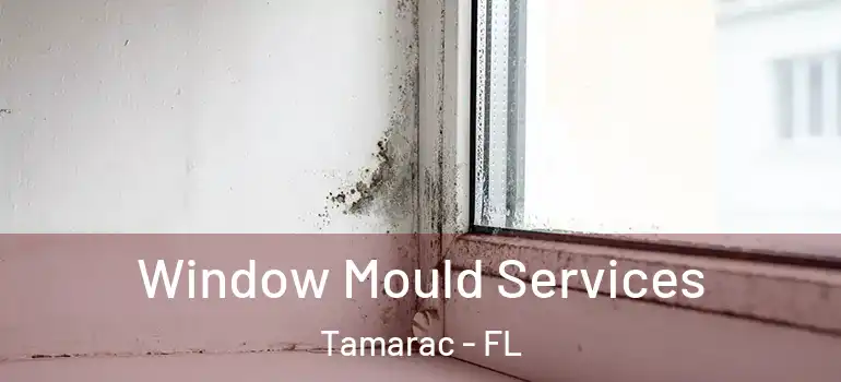  Window Mould Services Tamarac - FL